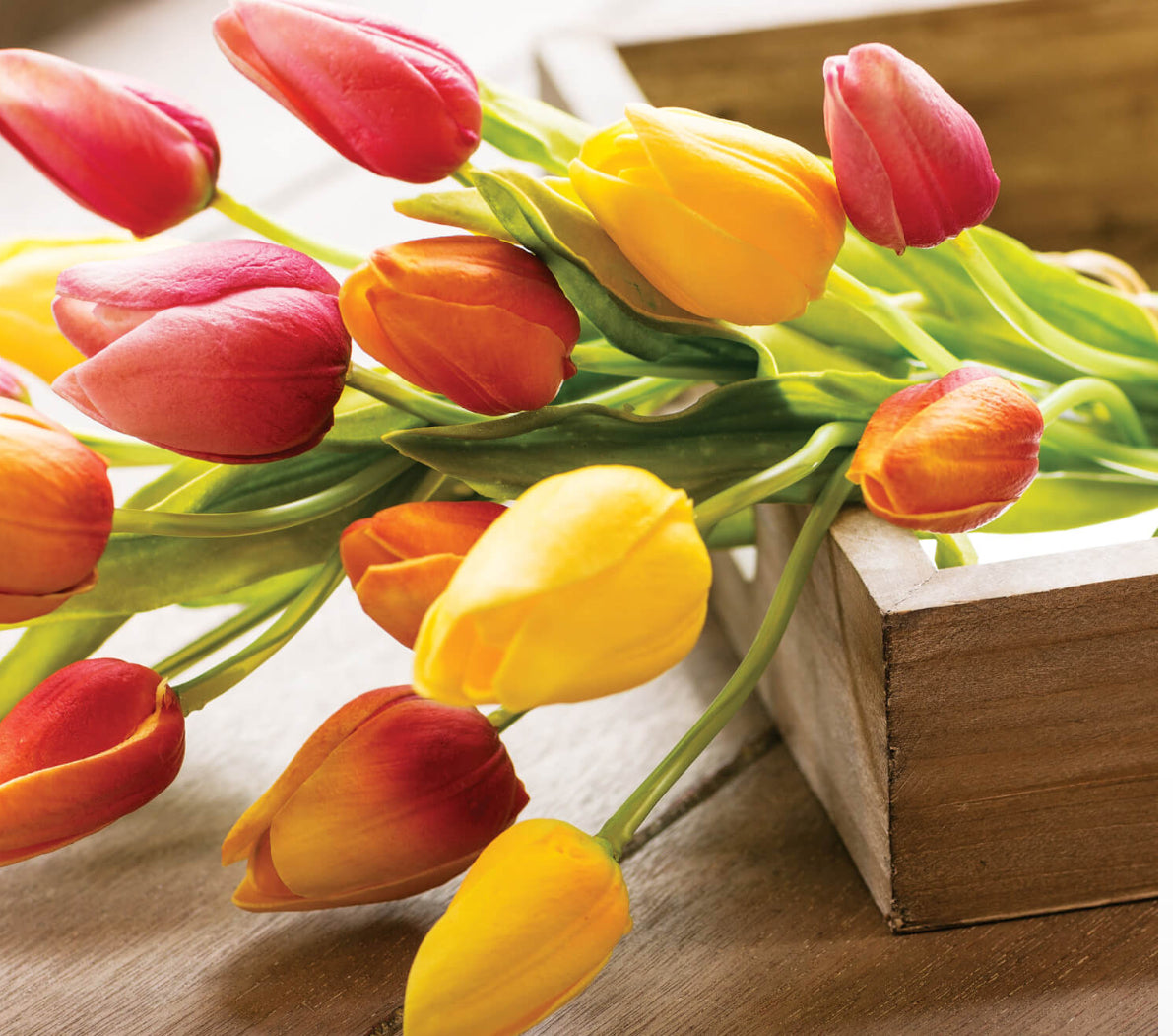 Mixed Tulip Bouquet