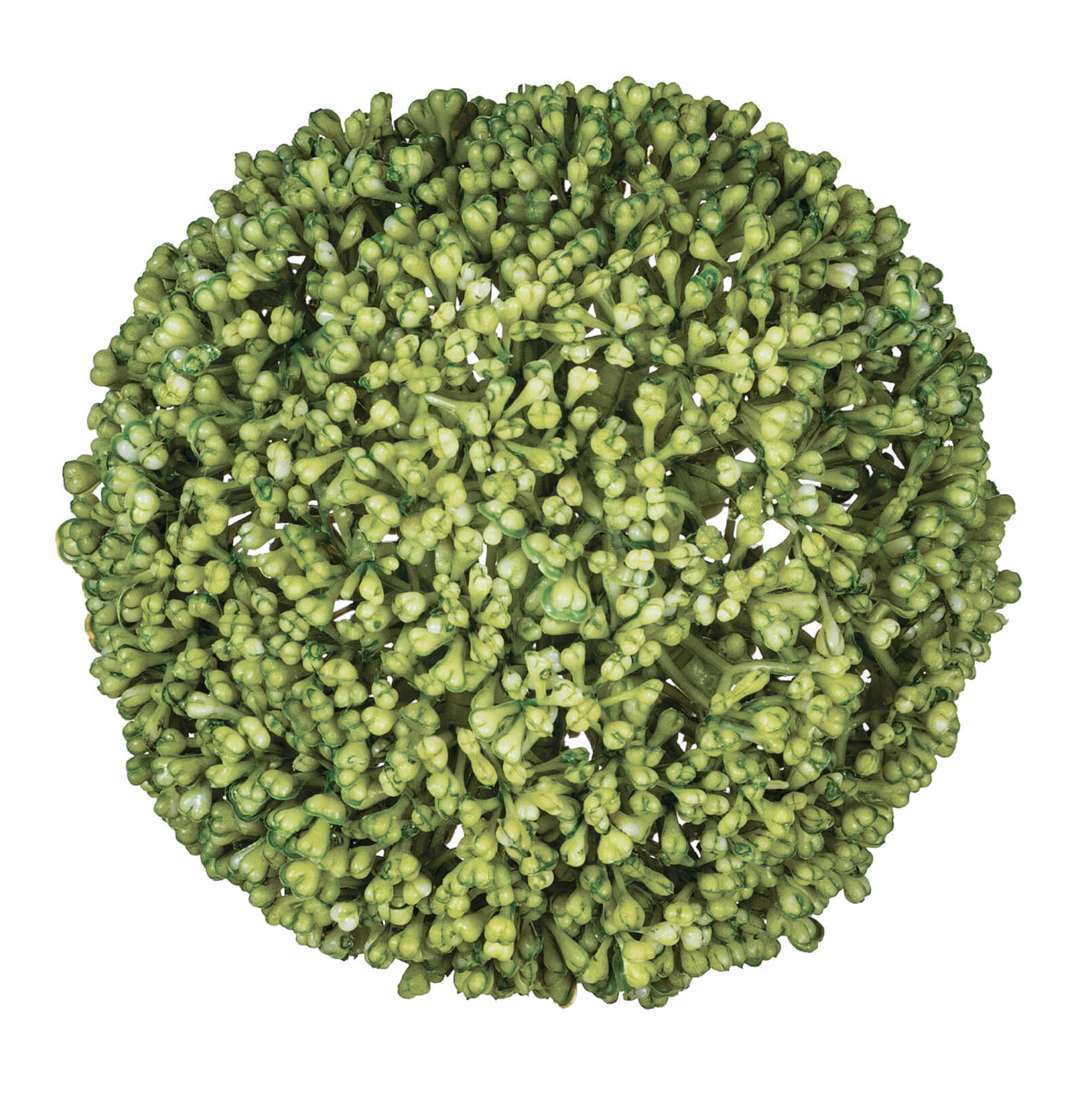 Allium Orb