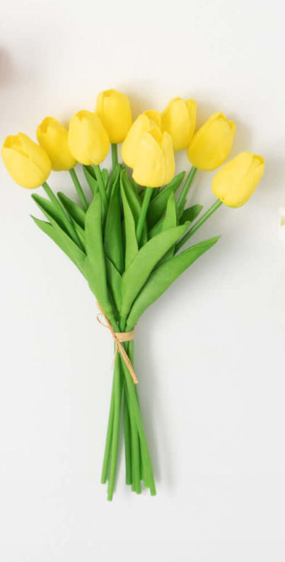 Springtime Blooming Yellow Tulip