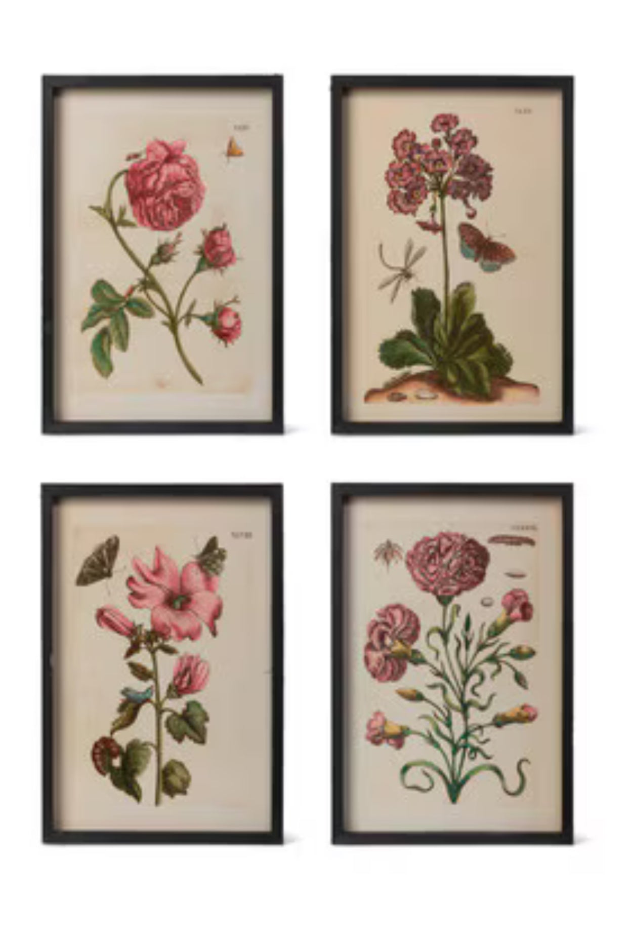 Jardin Boheme Botanical Prints