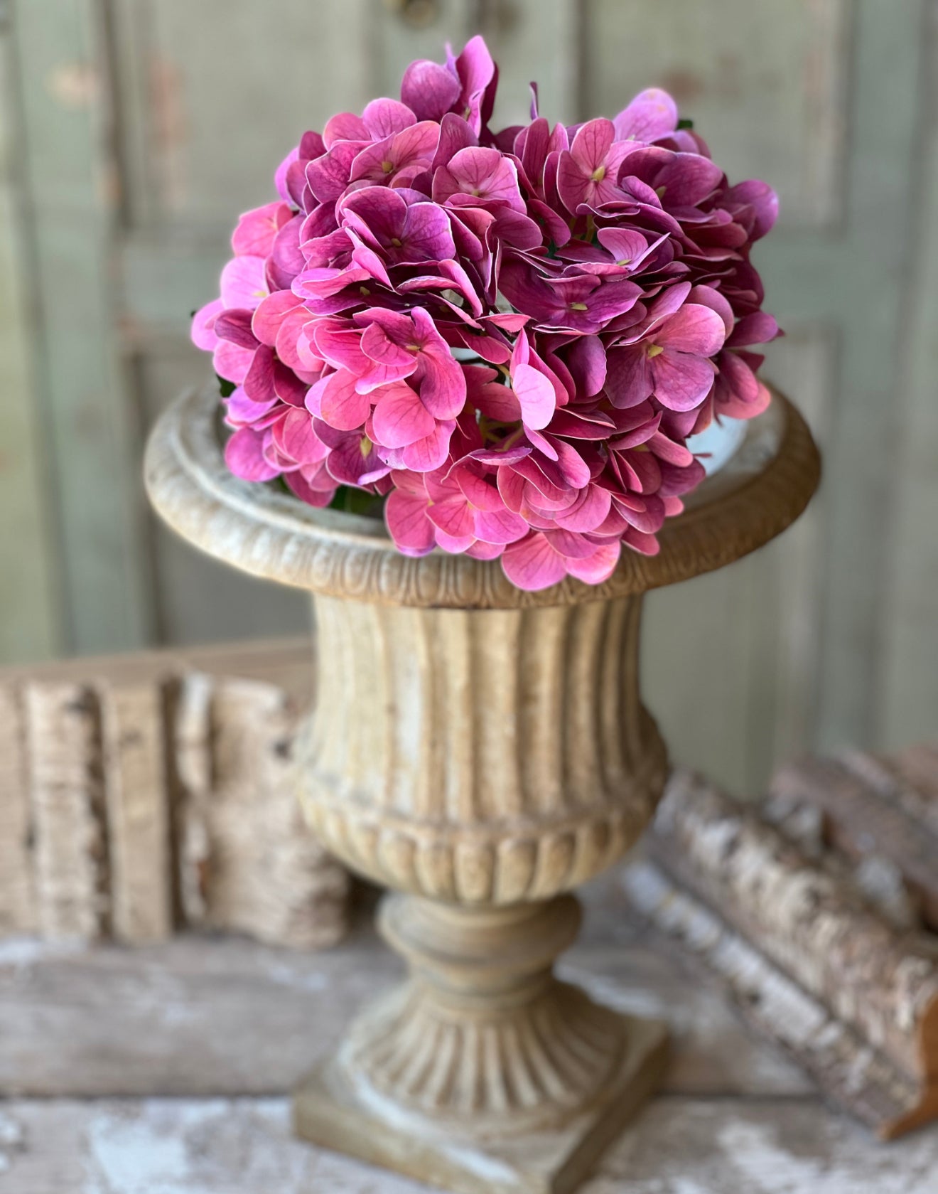 Hot Pink Hydrangea