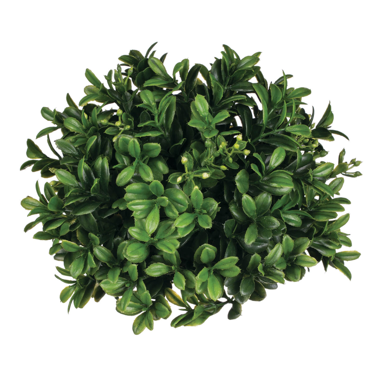 Boxwood Half Orb