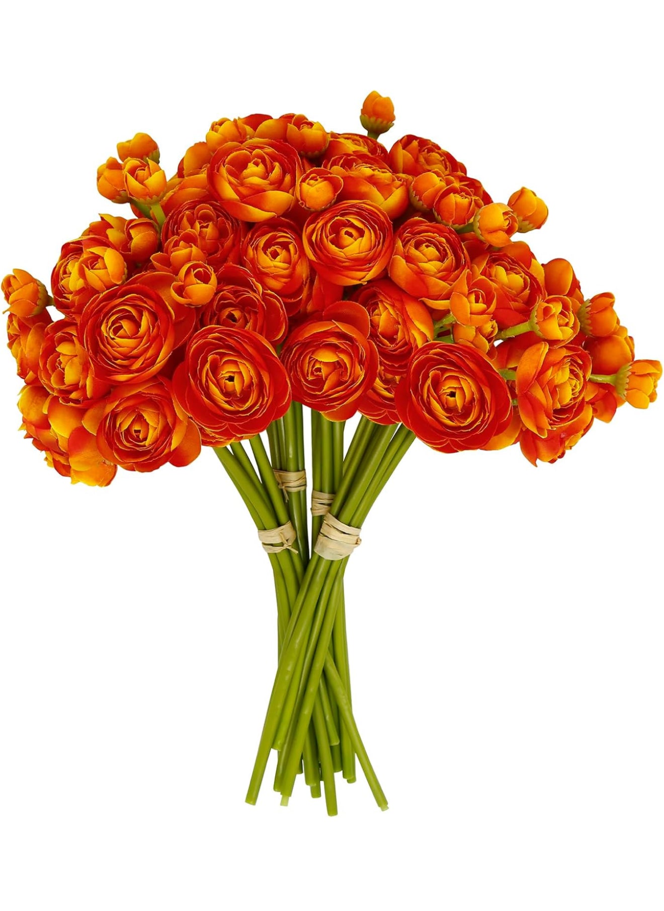 Burnt Orange Ranunculus Bundle