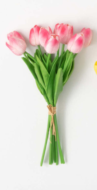 Springtime Blooming Pink Tulip