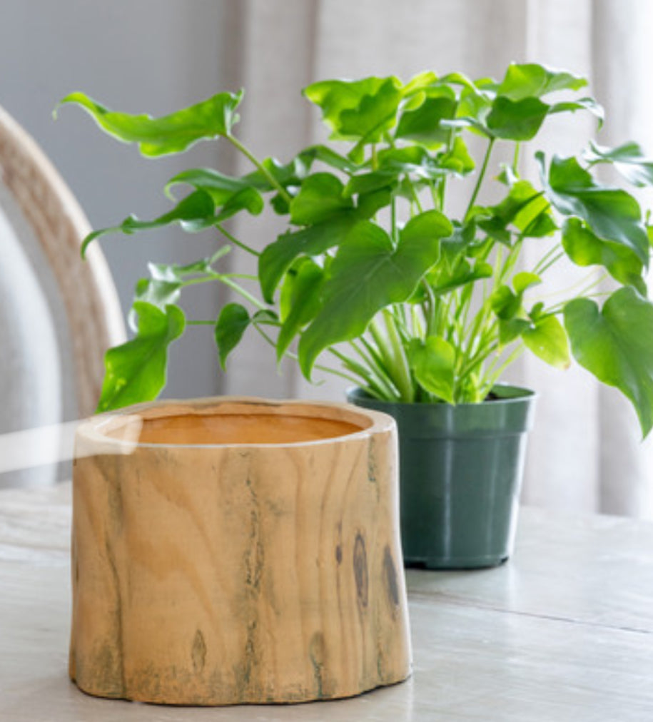 6” Bois Garden Forest Pot