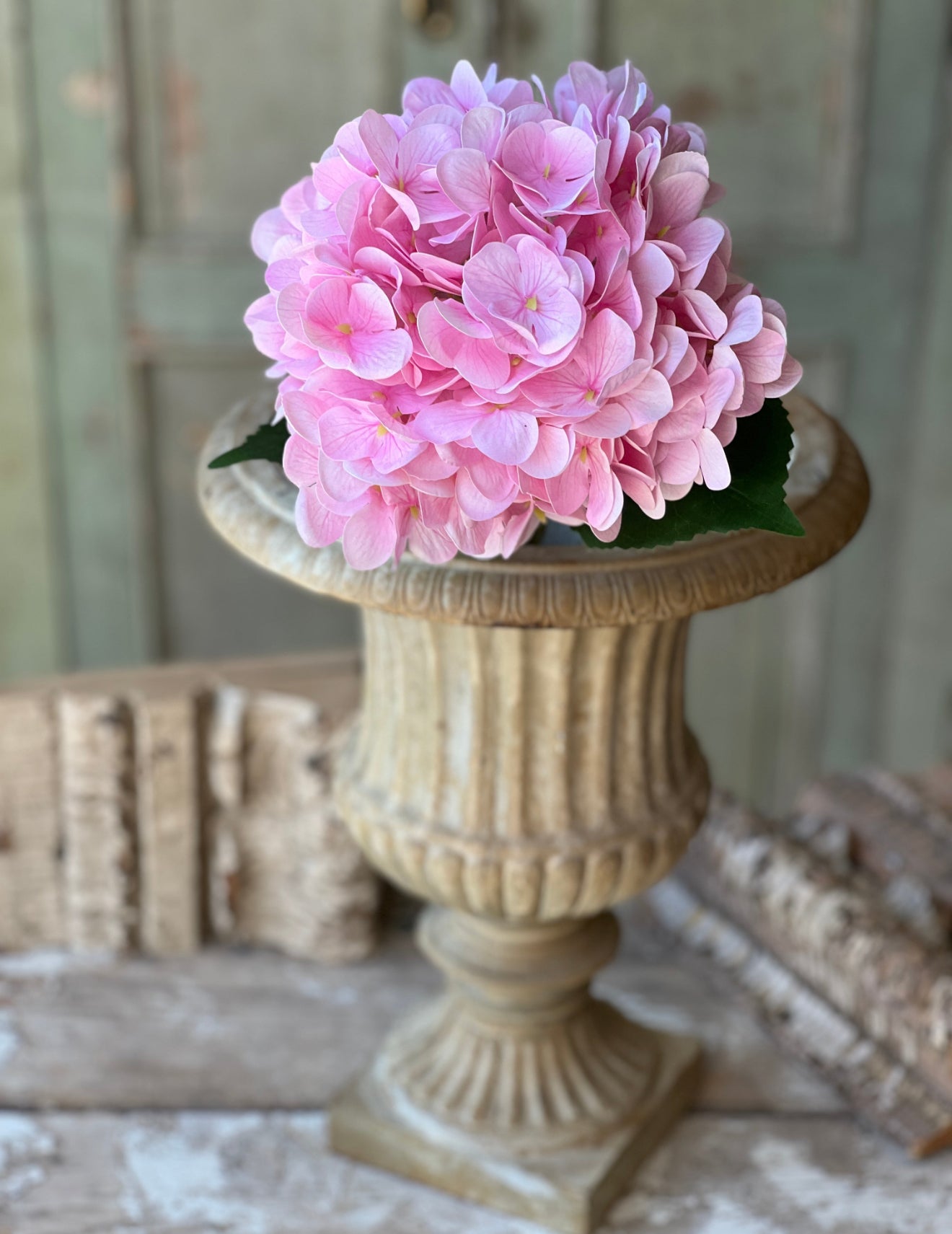 Bella Pink Hydrangea