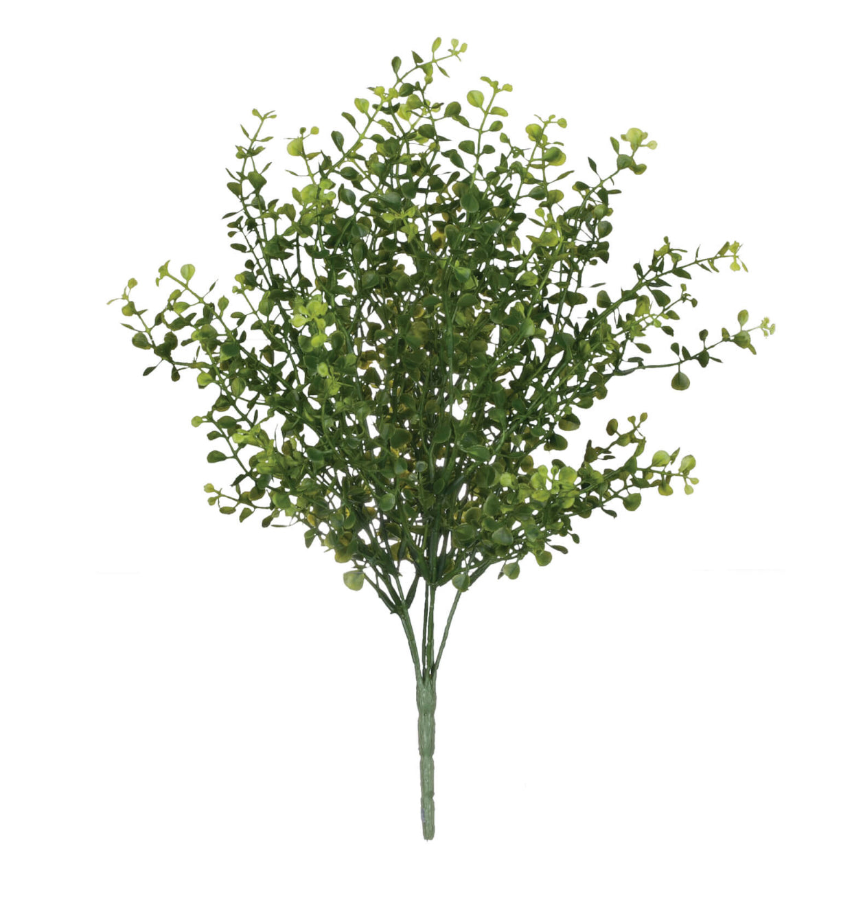 Baby Grass Pick