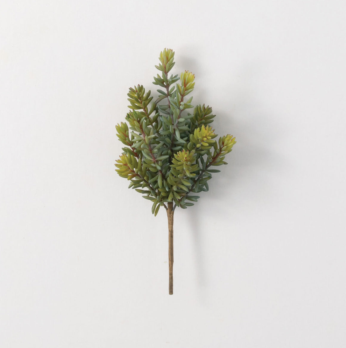 Succulent Pick