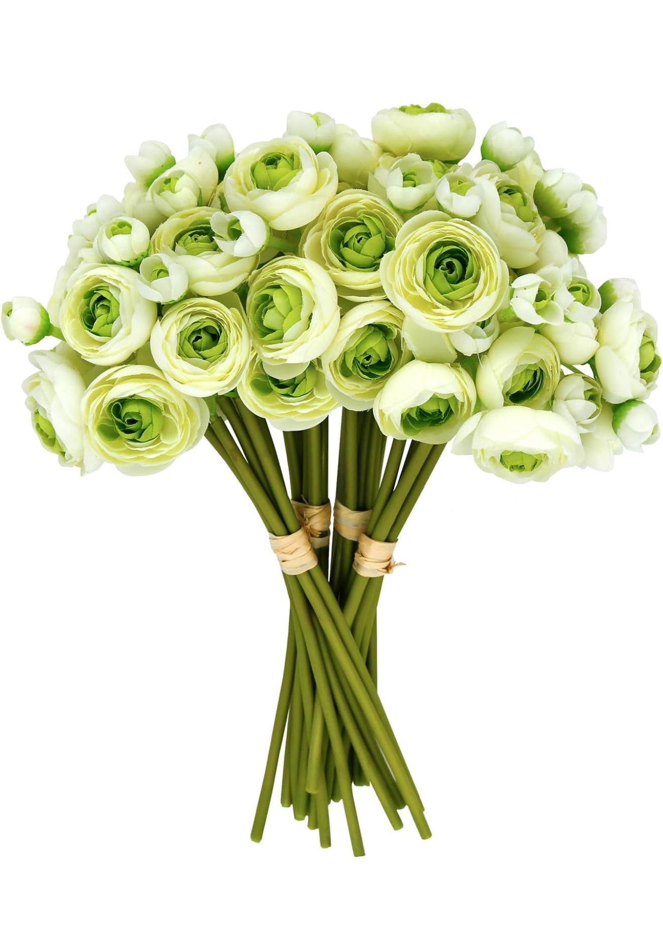 White/Green Ombré Ranunculus Bundle
