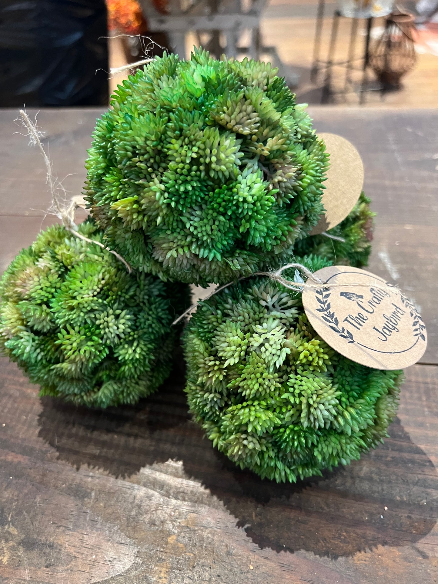 Sedum Orb (Green)