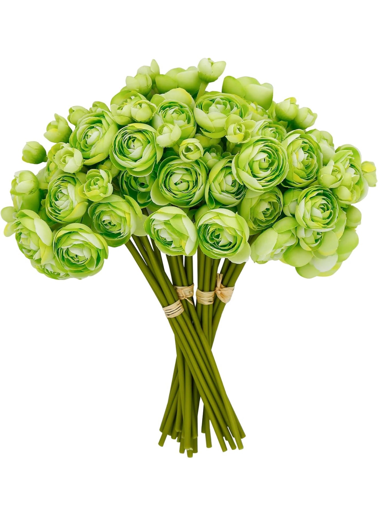 Green Ranunculus Bundle