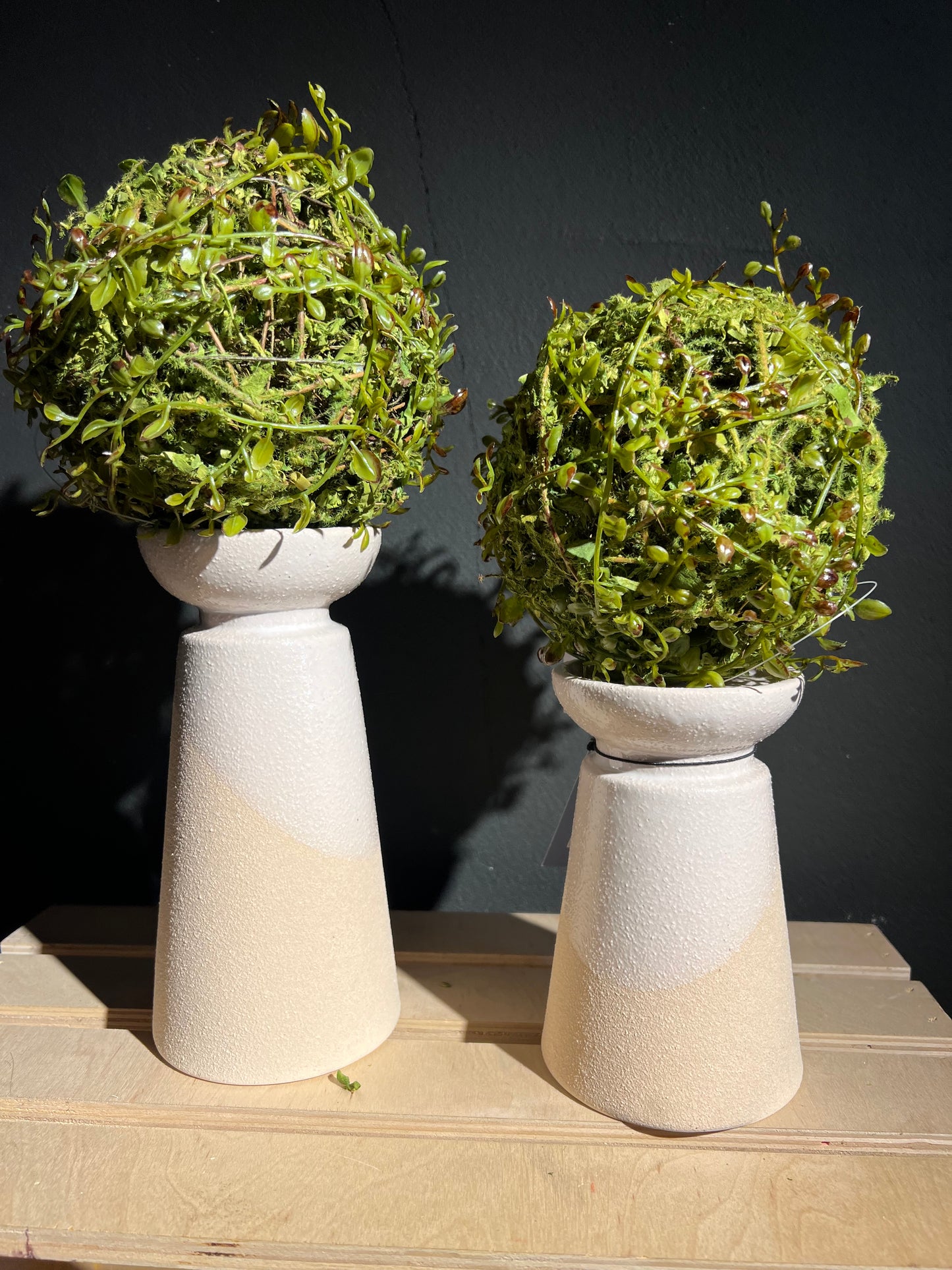 6’’ Medium Mossy Orb