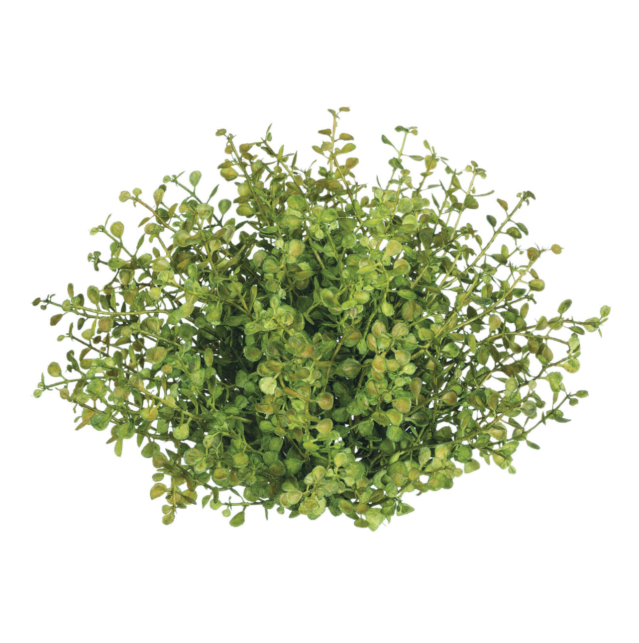 Baby Grass Half Orb