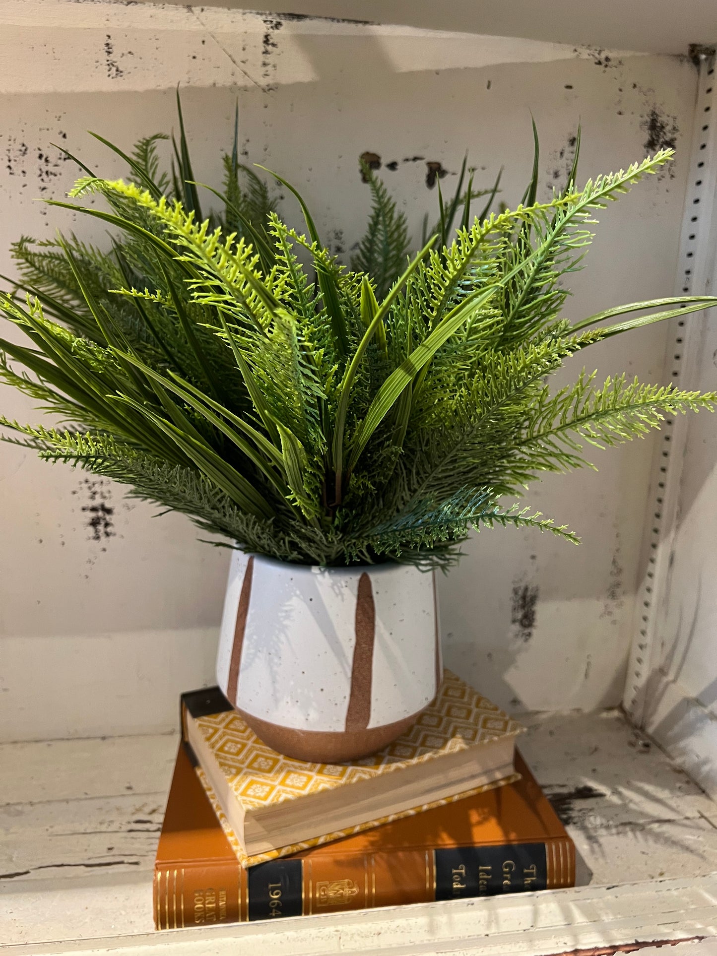 Pine Fern Bush Stems