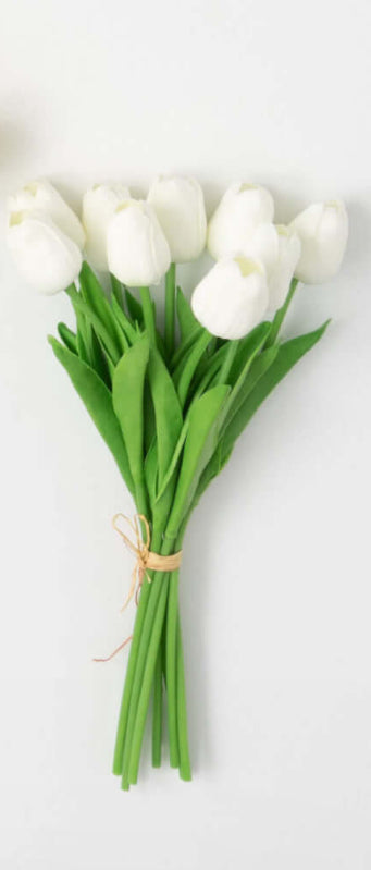 Springtime Blooming White Tulip
