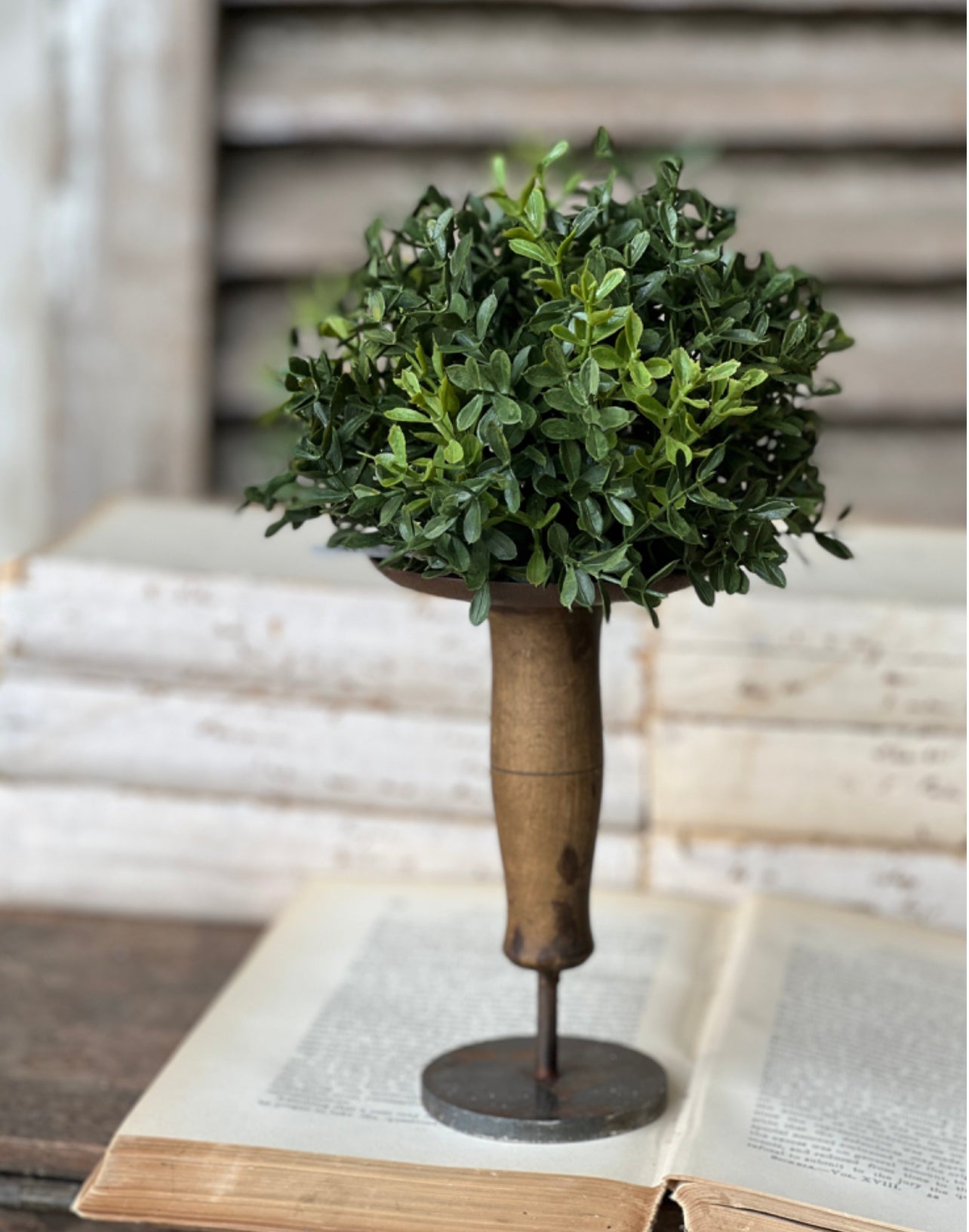 7” New England Boxwood Half Sphere