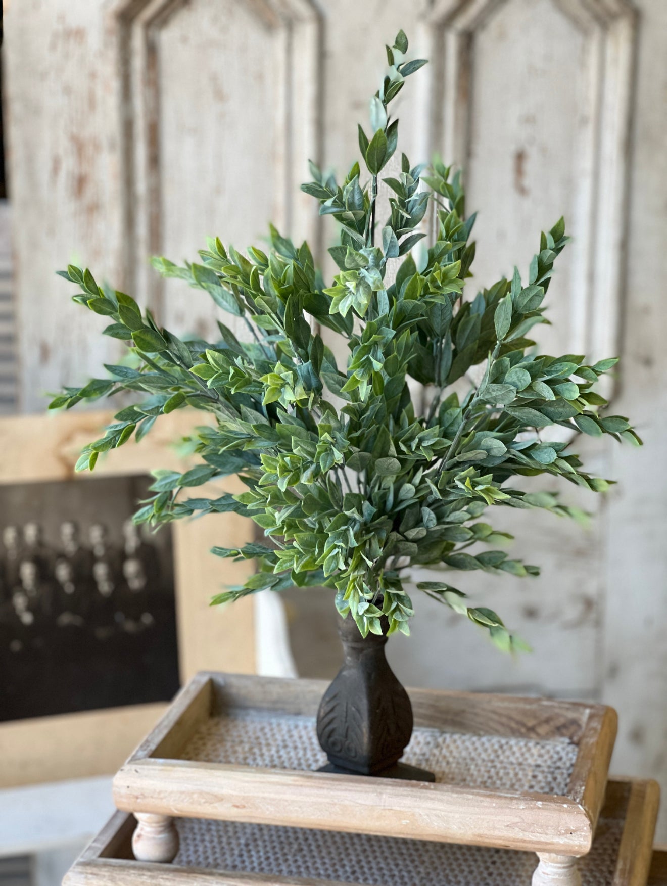 21” Rainwash Bush Stem