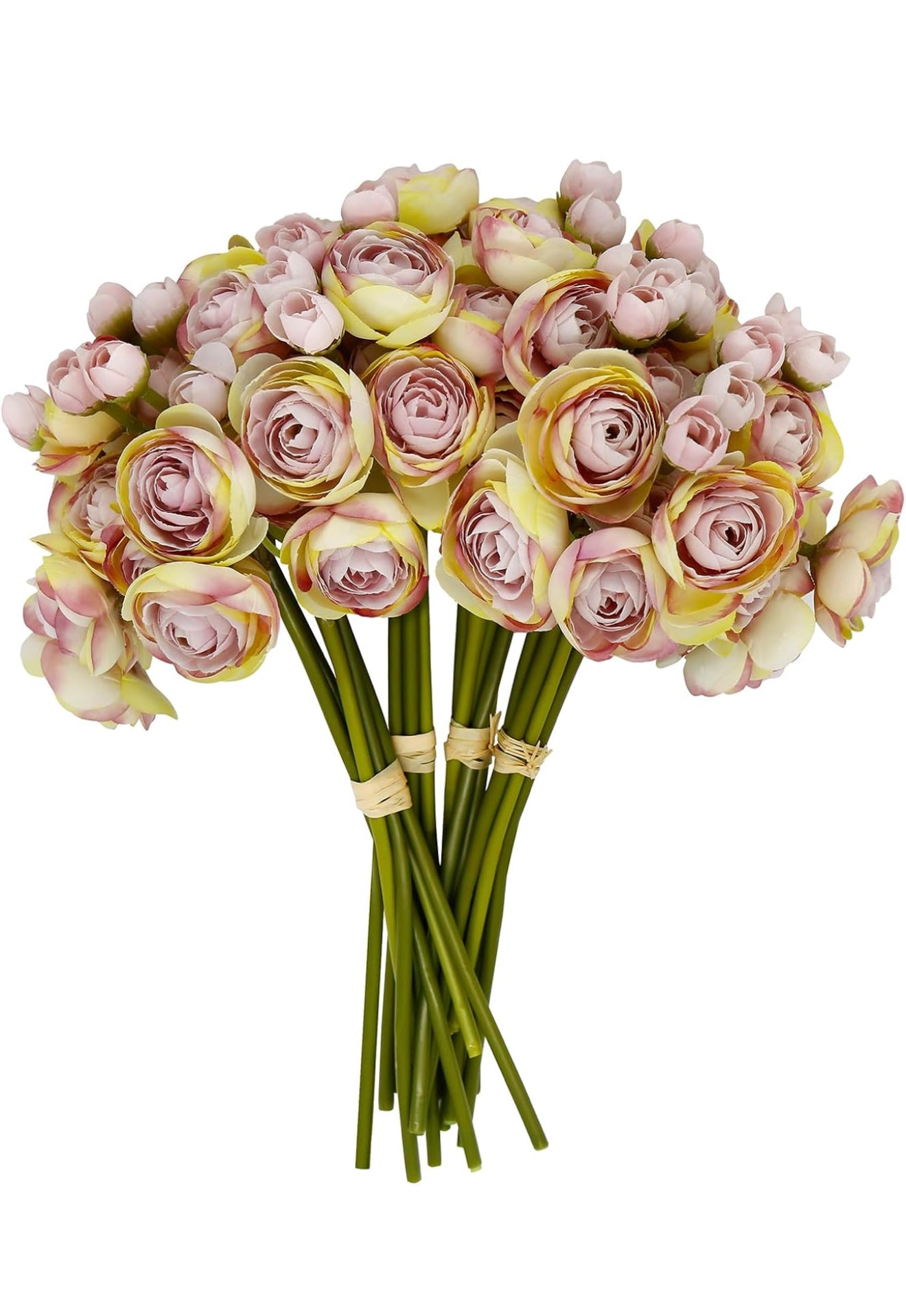Light Purple Ombré Ranunculus Bundle