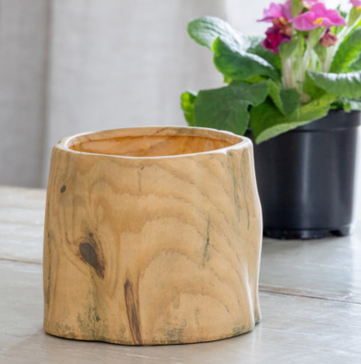 5’’ Bois Garden Forest Pot