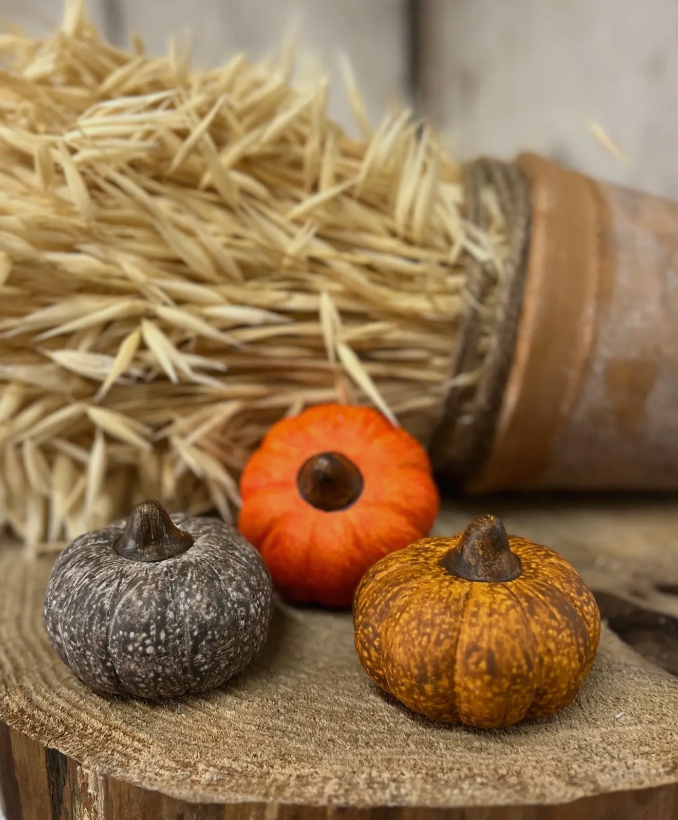 Small Harvest Pumpkins Set of 3