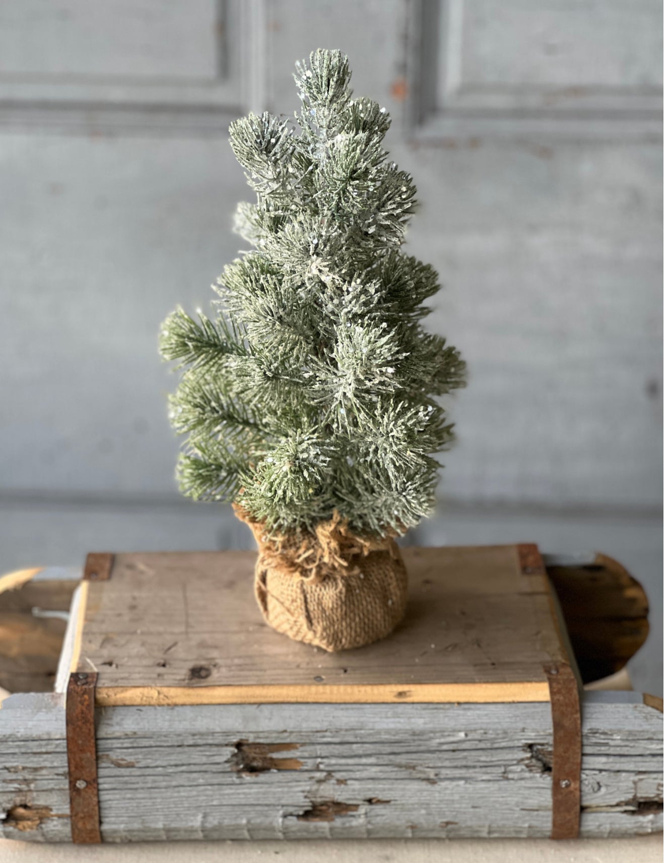 Icy Valdez 12" Pine Tree