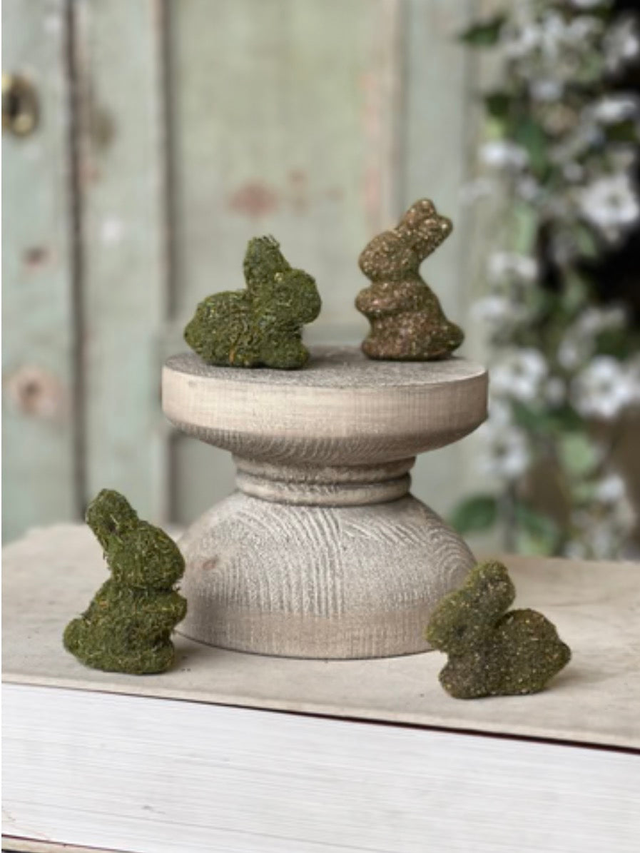 Hare Hollow Bunnies