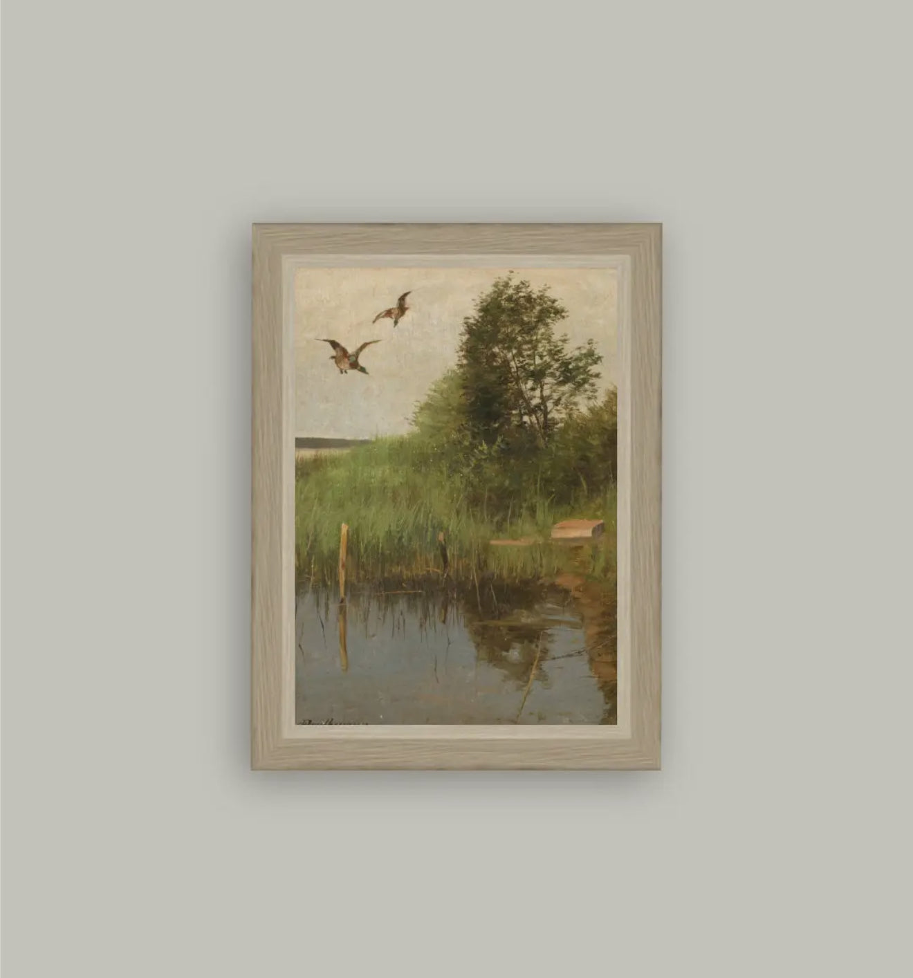 Mallards Taking Flight Framed Art