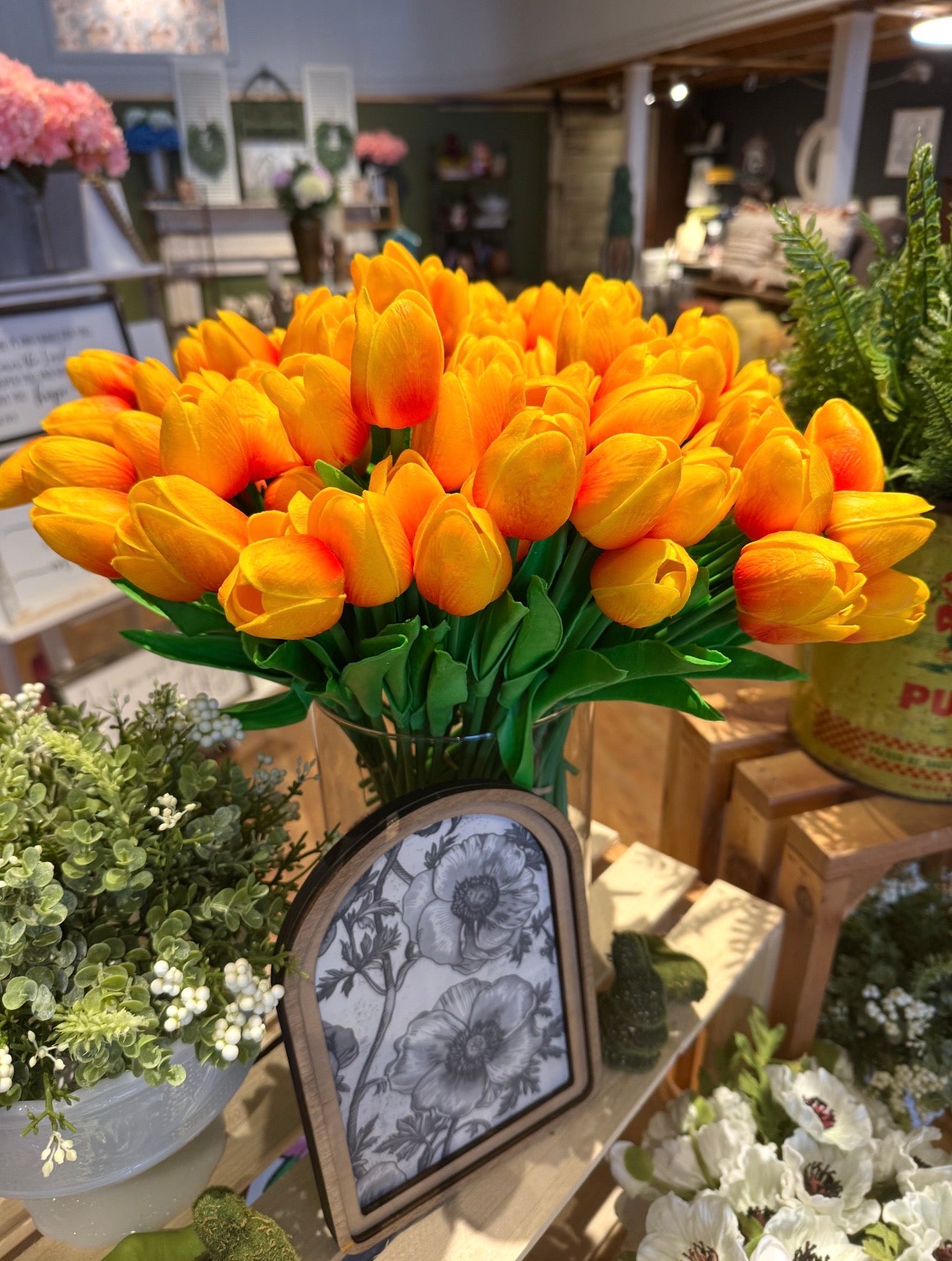 Orange Tulip Bundle