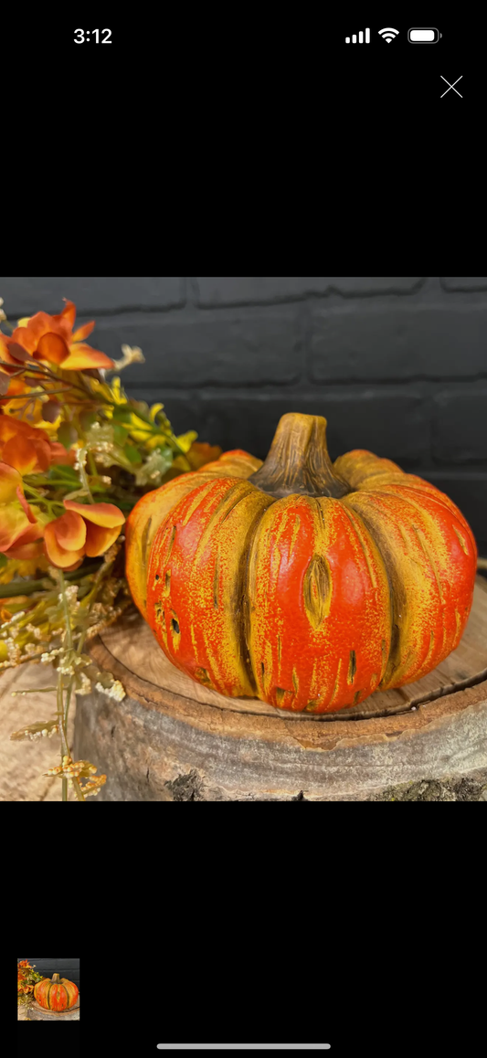 Fall Mix Pumpkin