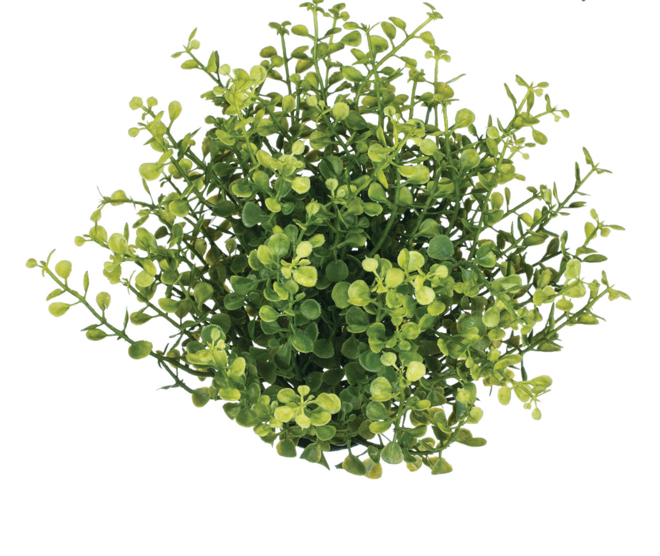 Baby Grass Half Sphere
