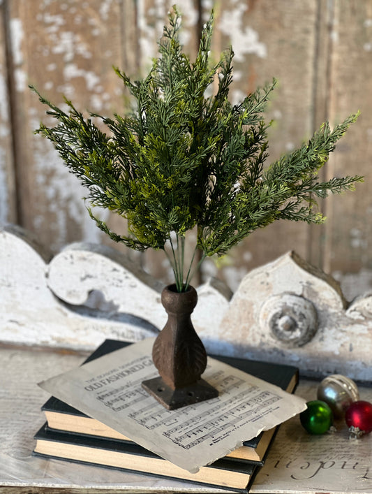 Clifton Hills 20" Cedar Bush