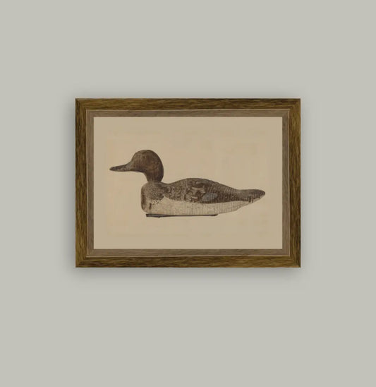 Mallard Duck Framed Art