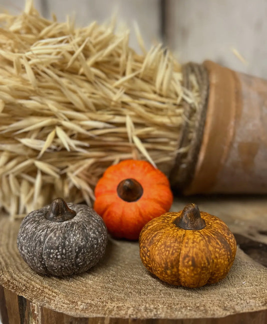Small Harvest Pumpkins Set of 3