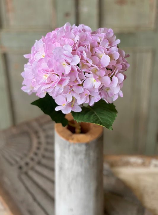 Lilac Hydrangea Stem