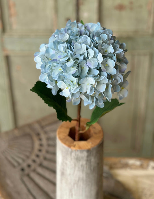 Light Blue Hydrangea Stem