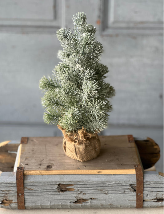 Icy Valdez 12" Pine Tree